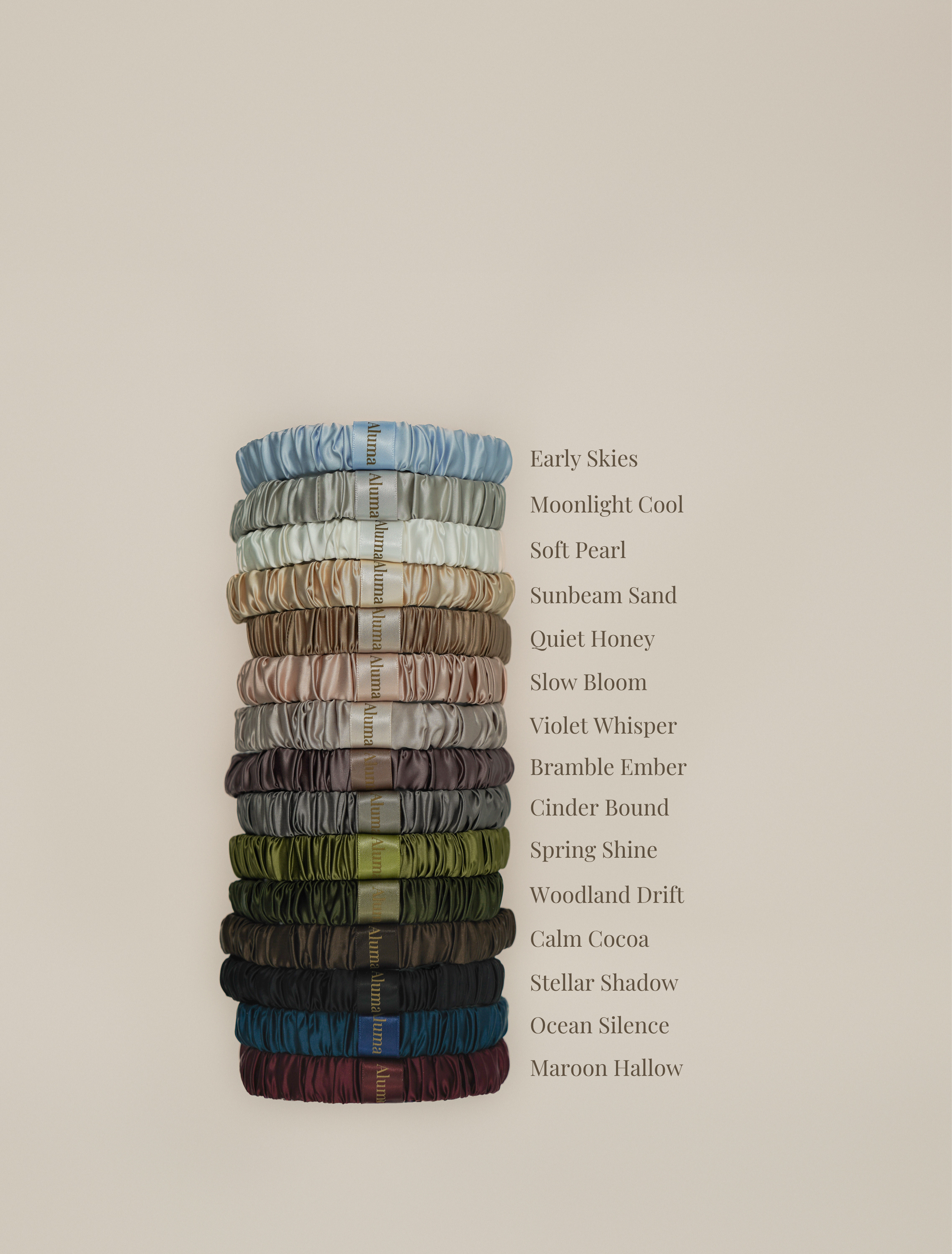 Loop Silk Hair Band