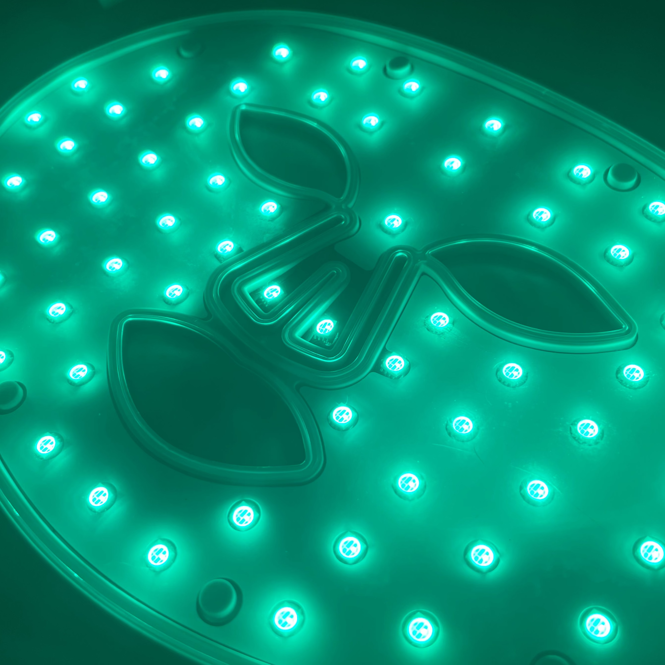 Luminous Pro Advanced LED Light Therapy Mask